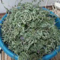 فروش انواع عرقیات گیاهی صد در صد خانگی