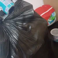 قوطی