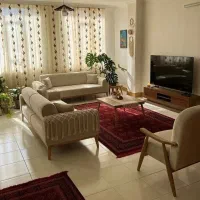 تولیدی   امیر    علی