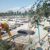 سرقبر کنارقبر سرمزار کاشتن نهال درخت گل وگیاه در|خدمات باغبانی و درختکاری|تهران, باغ خزانه|دیوار