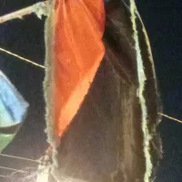 نمازوروزه استیجاری.
