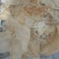 نون خشک