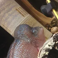 ماهی|ماهی|تهران, نارمک|دیوار