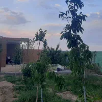 فروش باغ شورین