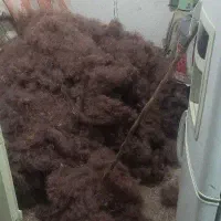 حلاجی