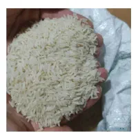 فروش برنج هاشمی