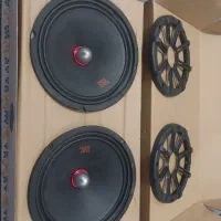 میدرنج سایز ۸ درحدنو