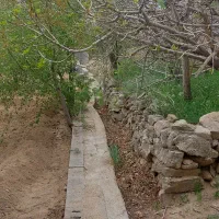 زمین-بنادک-سادات