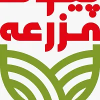 *اگر به درآمد بالای صد میلیون تومان می اندیشید*