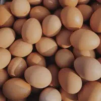 تخم مرغ محلی و تخم اردک خارجی
