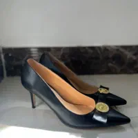 کفش مجلسی