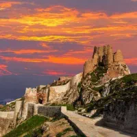 کنسرت ابی در وان
