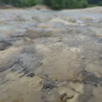 سفر یک روزه کمپی