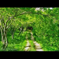 فروش یه قطعه زمین در روستای بقیع نیشابور