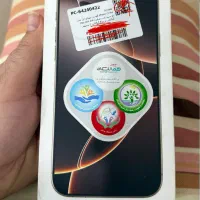 16 pro max 256 gig