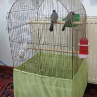 قفس کاسکویی