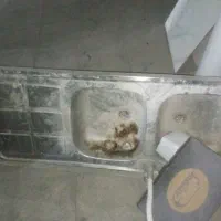 سینک سالم