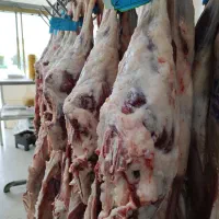 تاریخ روز گوشت روز تازه