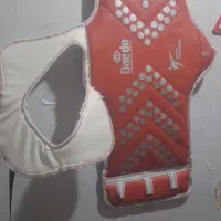 هوگوتکواندو