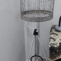 قفس ایستاده