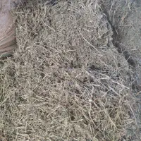 یونجه درجه یک تحویل کرج 37