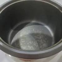 پلوپز برقی