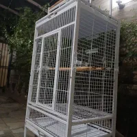 قفس بزرگ طوطی