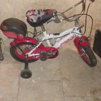 دوچرخه در حد نو