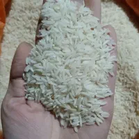 برنج هاشمی ممتاز شمال/عطر واقعی برنج ایرانی .