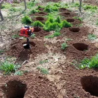 خدمات باغ و باغبانی