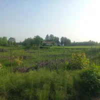 زمین فروشی داخل طرح