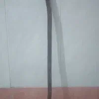 عصای نو