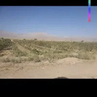 استخدام نگهبان و کشاورز دائم