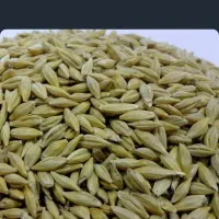 جو دو پر آث