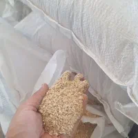دان  تخم گذار مخصوص تخم گذار