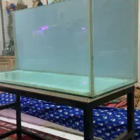 اکواریوم بزرگ شیشه ده میل سوپرکلیر