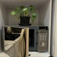 ماکروویوپارادایس