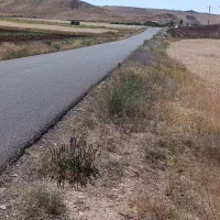 زمین ویلایی