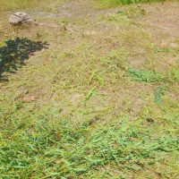 تیلرکار حمل بلوک و شن و ماسه خاک باغچه ( باتیلر)