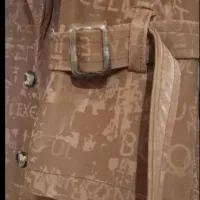 پالتو