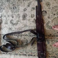کمریاهیکلی