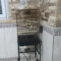 قفس همراه با پایه
