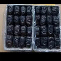 فروش خرما تازه