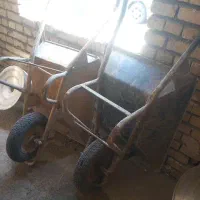 فرغون