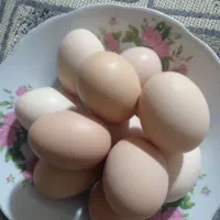 تخم مرغ محلی