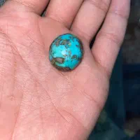فیروزه شجر اصلی