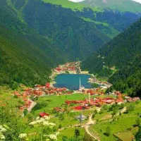 ترابزون باتومی اقساط بدون پیش پرداخت