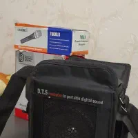 اکو همراه با میکروفن