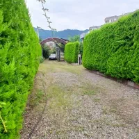 ویلا۲۵۰متربنا۱۸۰متر دوبلکس شهرکی حومه نعمت آباد