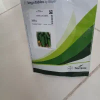 خیار N2|گل و گیاه طبیعی|سراب, |دیوار